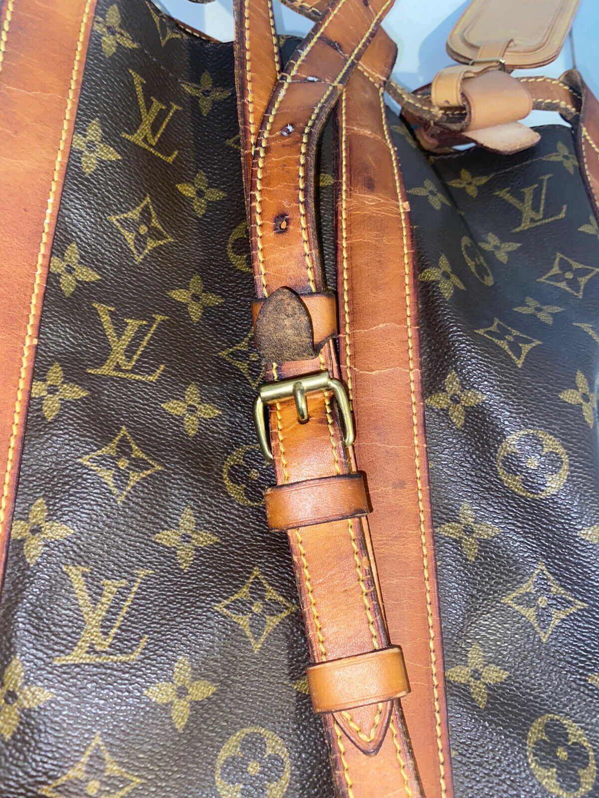 LOUIS VUITTON Monogram Randonnee PM Backpack Shoulder Bag
